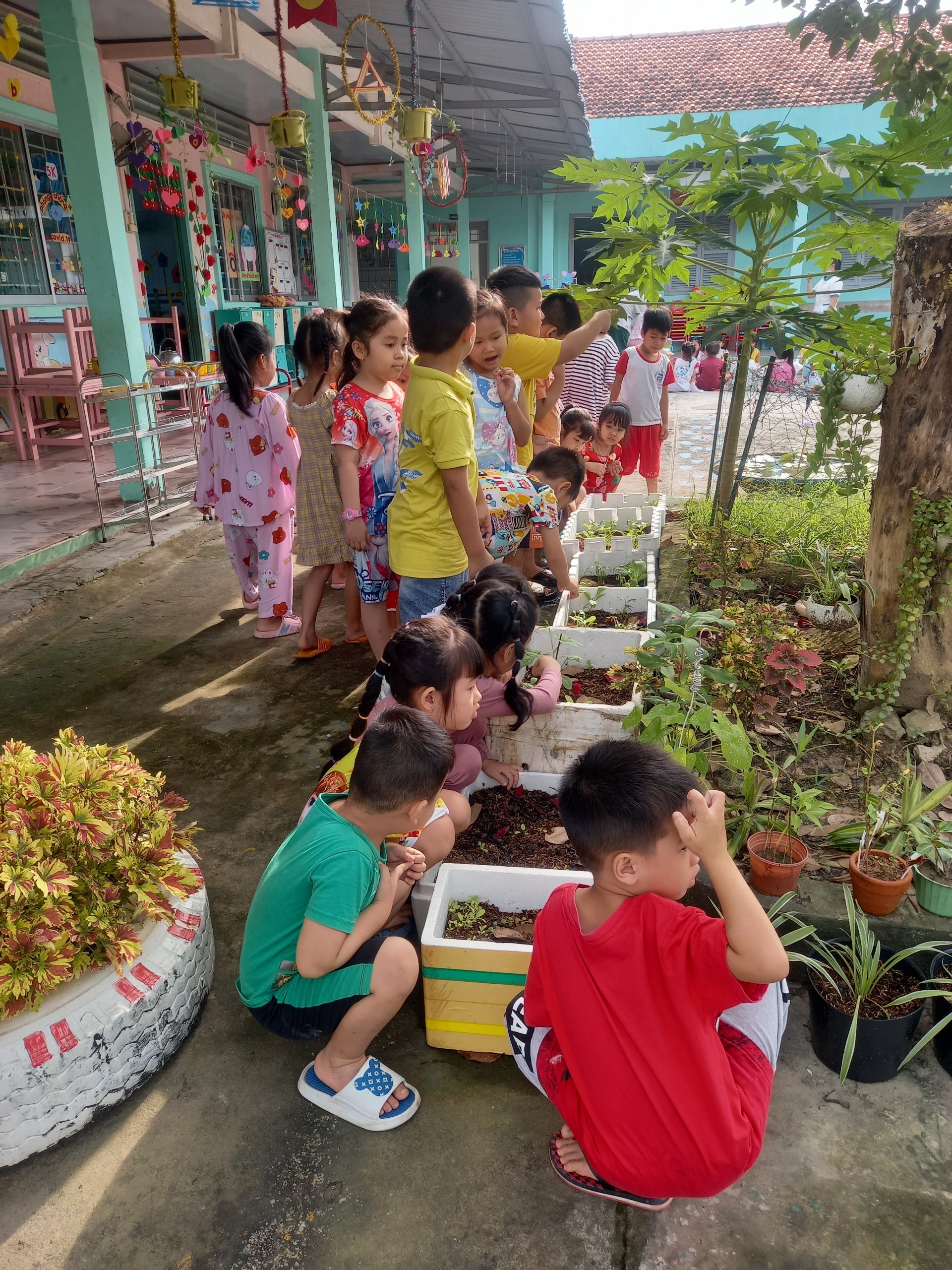 Trẻ lớp Lá hoạt động trải nghiệm trồng cây xanh